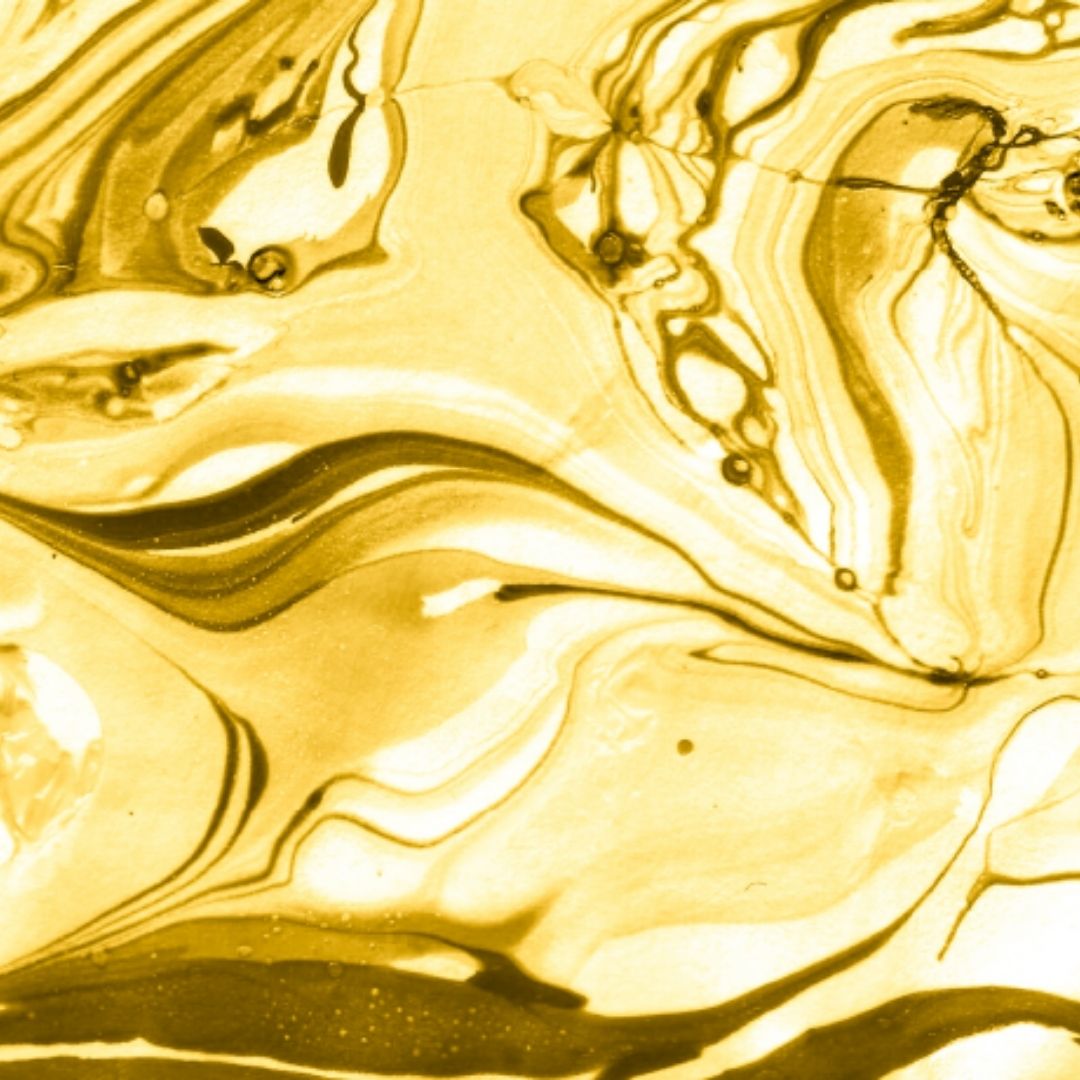 collection-money The Complete Money Collection - Image 1