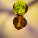 Transformation Transformance